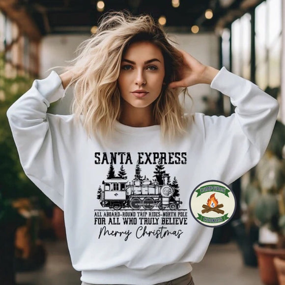 Santa Express Train