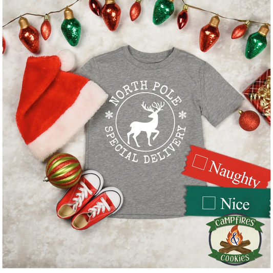 North Pole Special Delivery